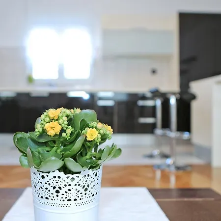 Apartament Gallery Zadar